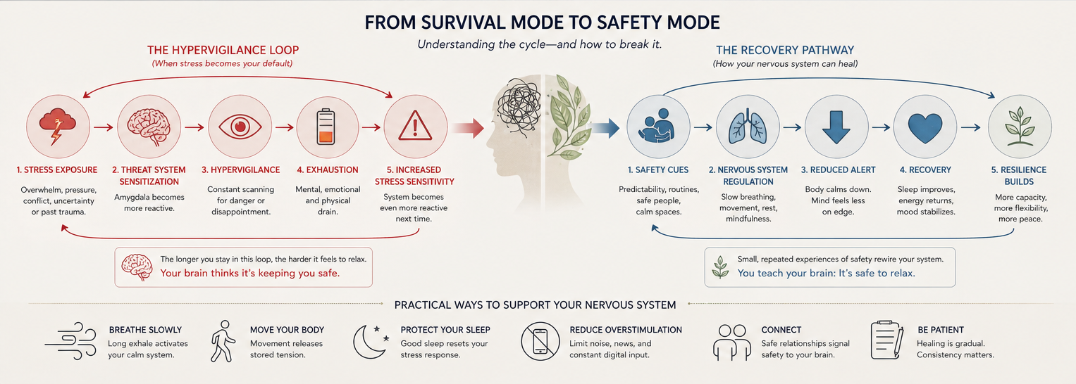 Hypervigilance loop and recovery pathway diagram